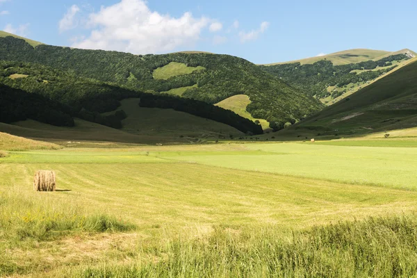 Piano Grande di Castelluccio (Itálie) — Stock fotografie