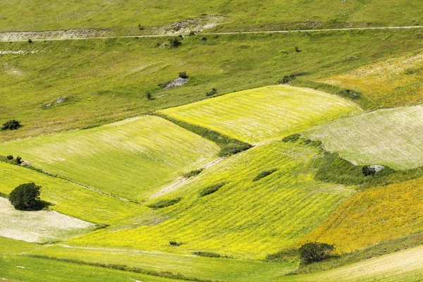 Piyano Grande di Castelluccio (İtalya) — Stok fotoğraf