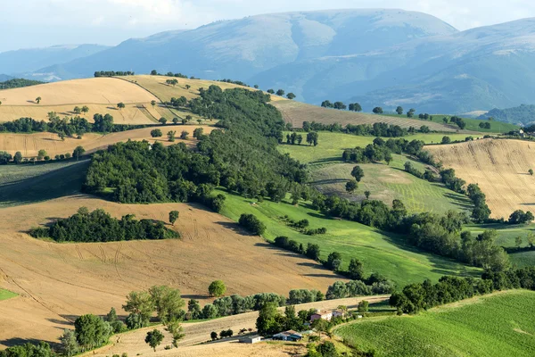 Sommerlandschaft in Märschen (Italien) — Stockfoto