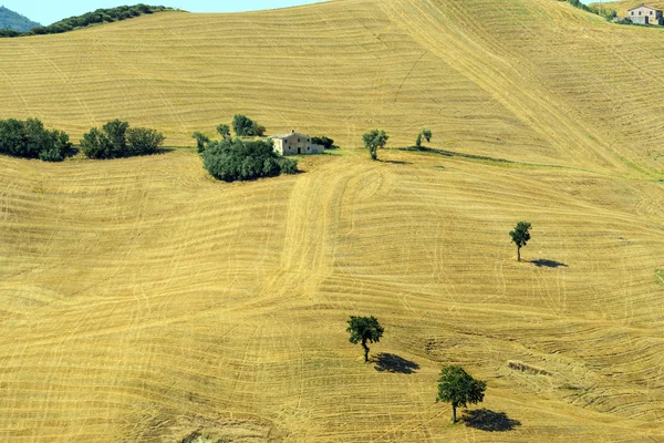 Paesaggio estivo nelle Marche ) — Foto Stock