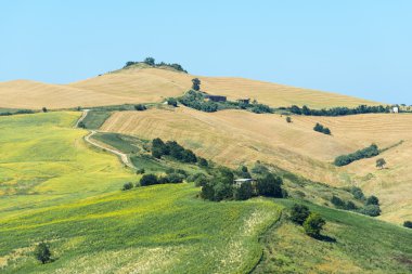 Yürüyüşleri (İtalya yaz peyzaj)