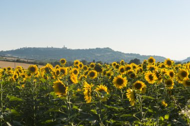 Yürüyüşleri (İtalya yaz peyzaj)