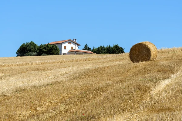 Paesaggio estivo nelle Marche ) — Foto Stock