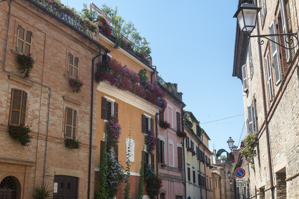 Tolentino (Macerata, Marches, Italy): the historic town at morning