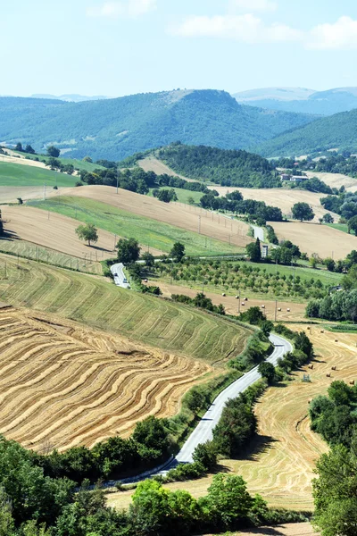 Paisaje de verano en Marcas (Italia) ) — Foto de Stock