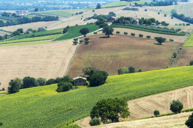 Yürüyüşleri (İtalya yaz peyzaj)