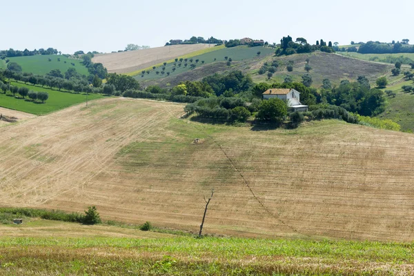 Letní krajina v pochody (Itálie) — Stock fotografie