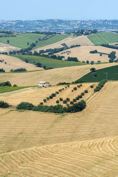 Summer landscape in Marches (Italy) — Stock Photo, Image