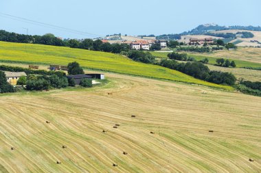 Yürüyüşleri (İtalya yaz peyzaj)