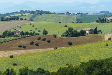Yürüyüşleri (İtalya yaz peyzaj)