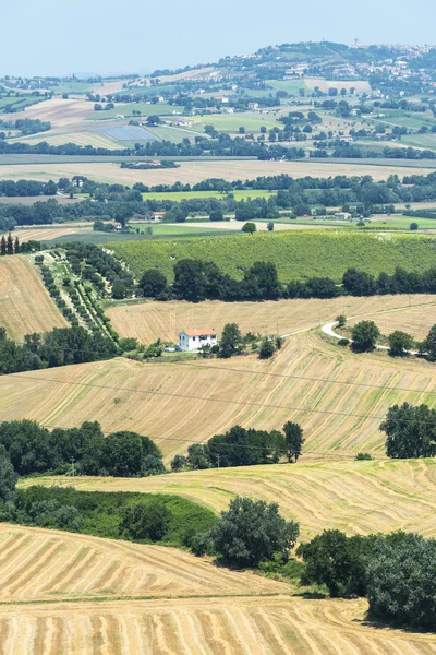 Paesaggio estivo nelle Marche ) — Foto Stock