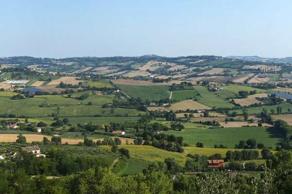 Paesaggio estivo da Osimo (Marche ) — Foto Stock