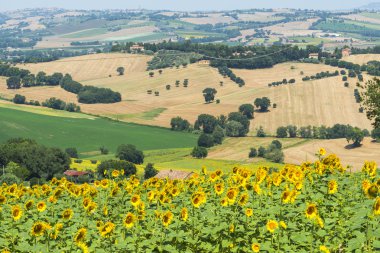 Yürüyüşleri (İtalya yaz peyzaj)
