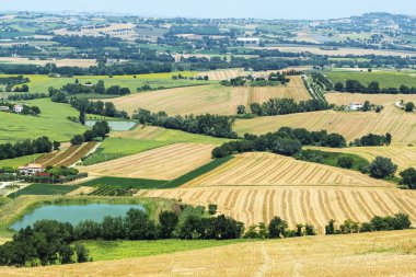 Yürüyüşleri (İtalya yaz peyzaj)