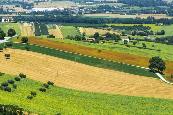 Krajobraz lato w Marche (Włochy) — Zdjęcie stockowe