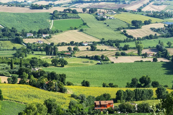 Sommar landskap från Osimo (marscher) — Stockfoto