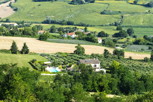 Paesaggio estivo da Osimo (Marche ) — Foto Stock