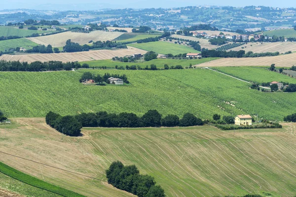 Krajobraz lato w Marche (Włochy) — Zdjęcie stockowe