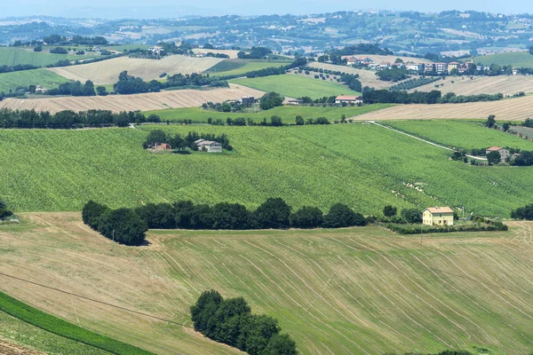 Paisaje de verano en Marcas (Italia) ) — Foto de Stock