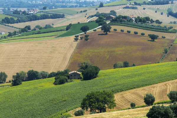 Krajobraz lato w Marche (Włochy) — Zdjęcie stockowe