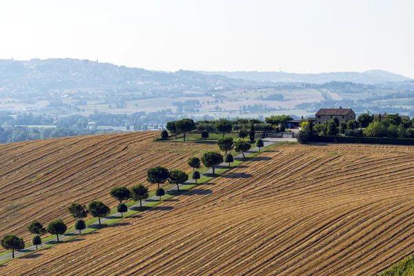 Paisaje de verano en Marcas (Italia) ) — Foto de Stock