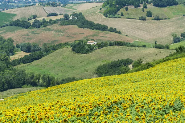 Paisagem de verão em Marchas (Itália ) — Fotografia de Stock