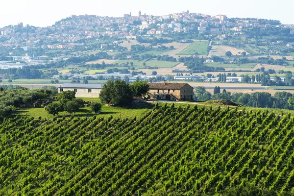 Recanati (Marche, Italia) ) — Foto Stock