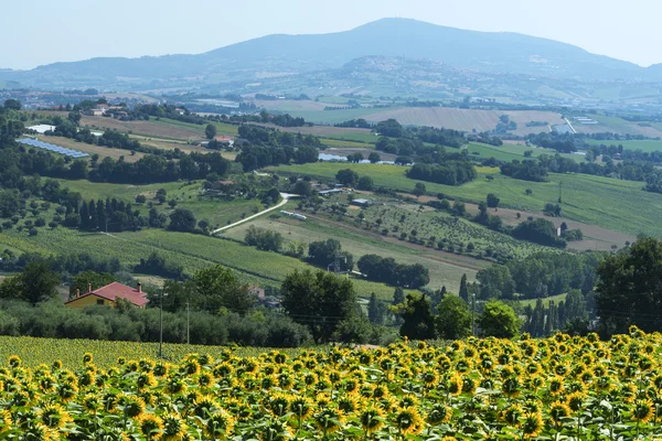 Osimo (Olaszország) — Stock Fotó