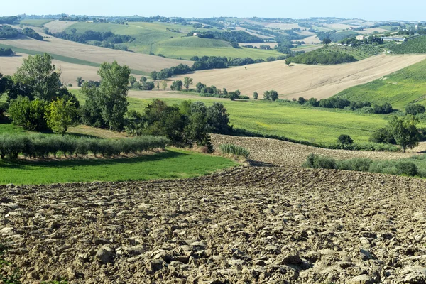 Marscher (Italien): sommar landskap — Stockfoto