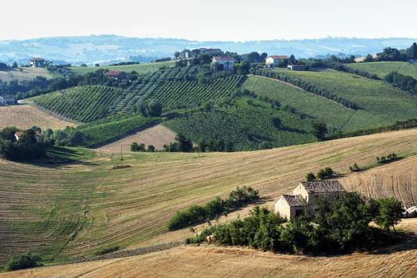 Märsche (Italien): Sommerlandschaft — Stockfoto