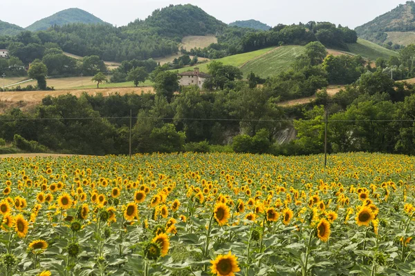 Märsche: Landschaft auf dem Land — Stockfoto