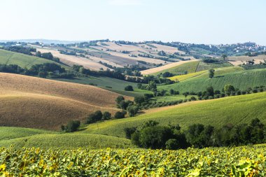 Yürüyüşleri (İtalya): yaz manzara