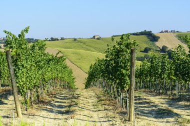 Yürüyüşleri (İtalya): yaz manzara