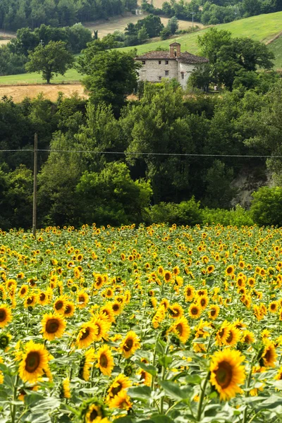 Marscher: land landskap — Stockfoto