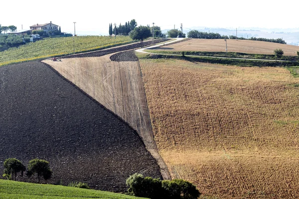 Marches (Italië): zomer landschap — Stockfoto