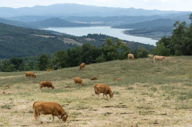Passo di Viamaggio (Toskonya - Emilia-Romagna)