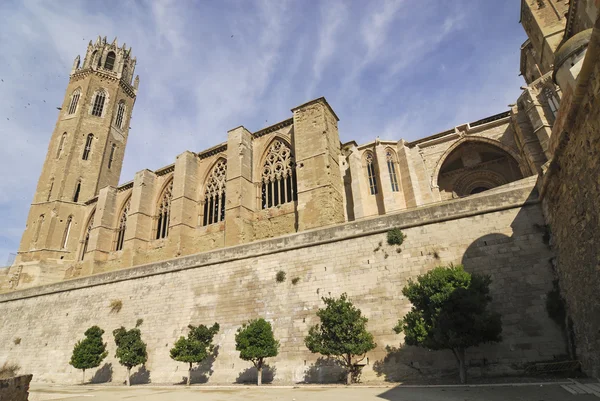 Lérida, catedral gótica — Foto de Stock