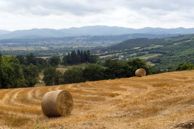 Passo di Viamaggio (Toskonya - Emilia-Romagna)