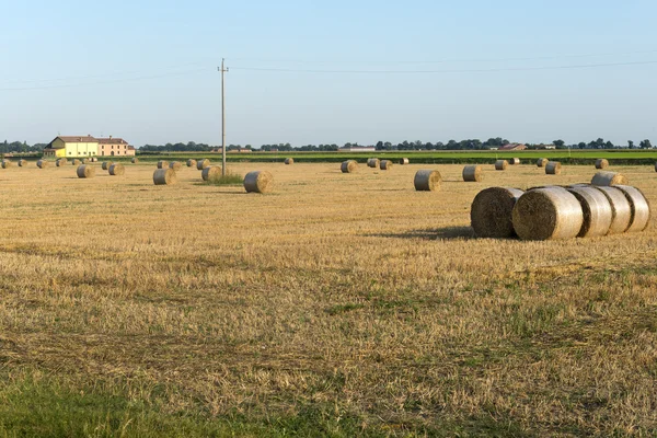 Venkovská krajina poblíž Ferrara (Itálie) — Stock fotografie
