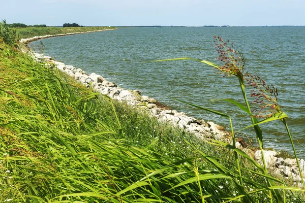 Valli di Comacchio (Italië) — Stockfoto