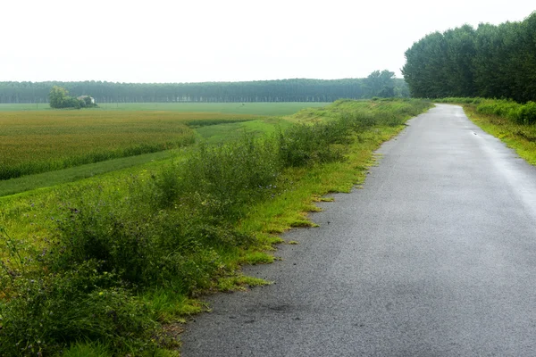 Paysage le long de la rivière Po — Photo