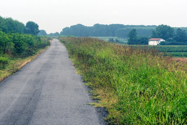 Paysage le long de la rivière Po — Photo