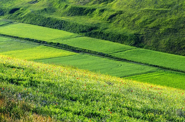 Piyano Grande di Castelluccio (İtalya) — Stok fotoğraf