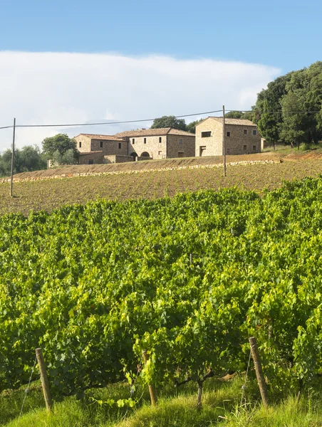 Montalcino (Toscane, Italië) — Stockfoto