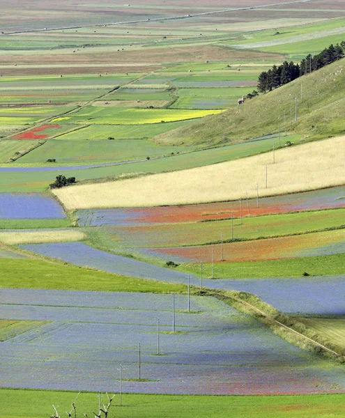 เปียโน Grande di Castelluccio ( อิตาลี ) — ภาพถ่ายสต็อก