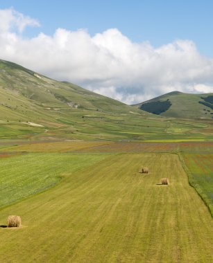 Piyano Grande di Castelluccio (İtalya)