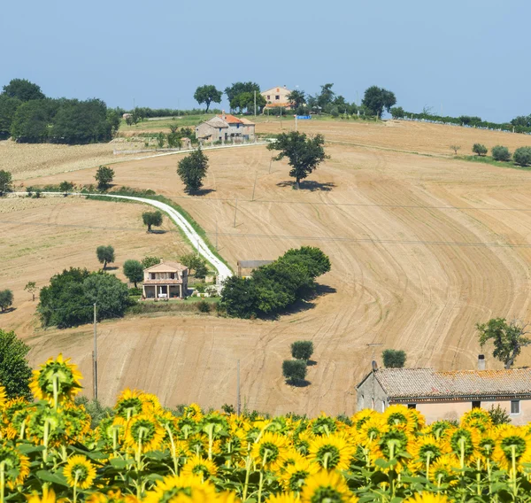 Marches (Italia): paisaje de verano — Foto de Stock