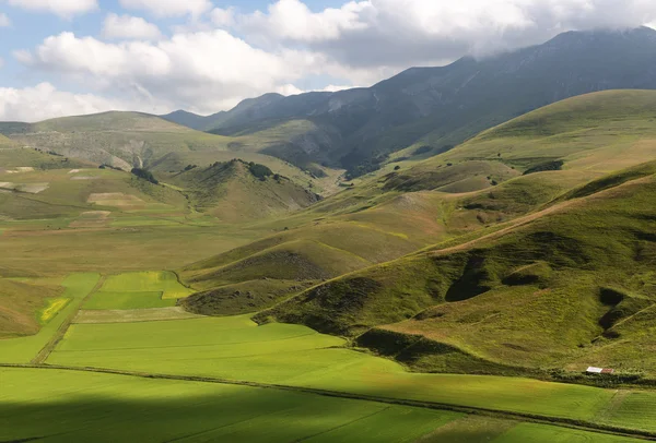 Piano Grande di Castelluccio (Itália) ) — Fotografia de Stock