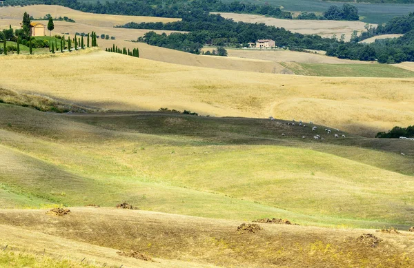 Betonsenesi (Toskana, Italien) — Stockfoto