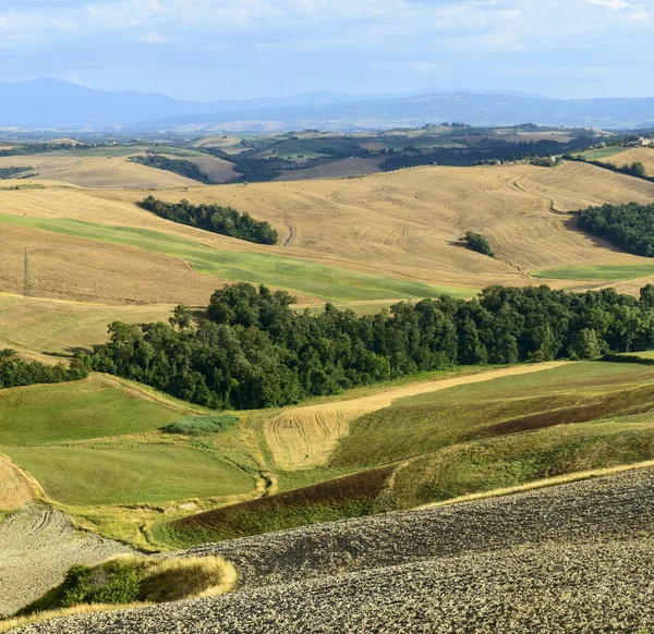 Crete Senesi (Tuscany, Italy) — Stock Photo, Image